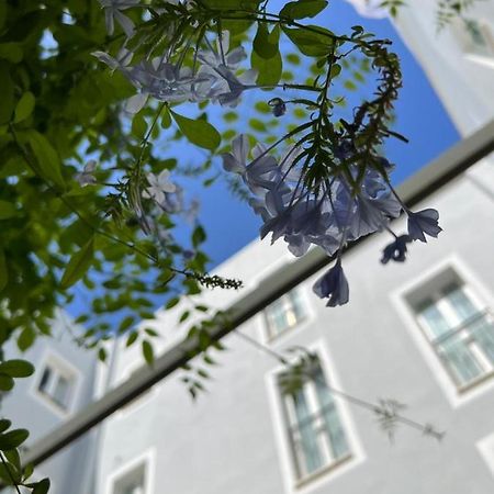 Hotel San Miguel Menorca Mahon  Luaran gambar